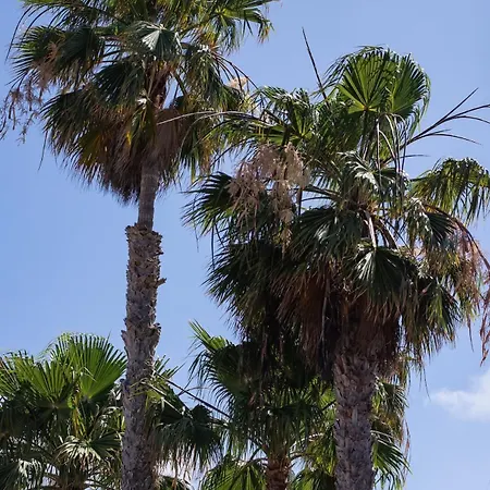 Salty Casa - Oasis Duna - Center Apartment Corralejo