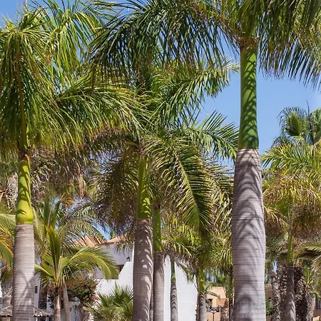 Apartment Salty Casa - Oasis Duna - Center Corralejo