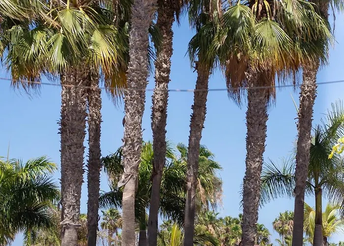 Apartamento Salty Casa - Oasis Duna - Center