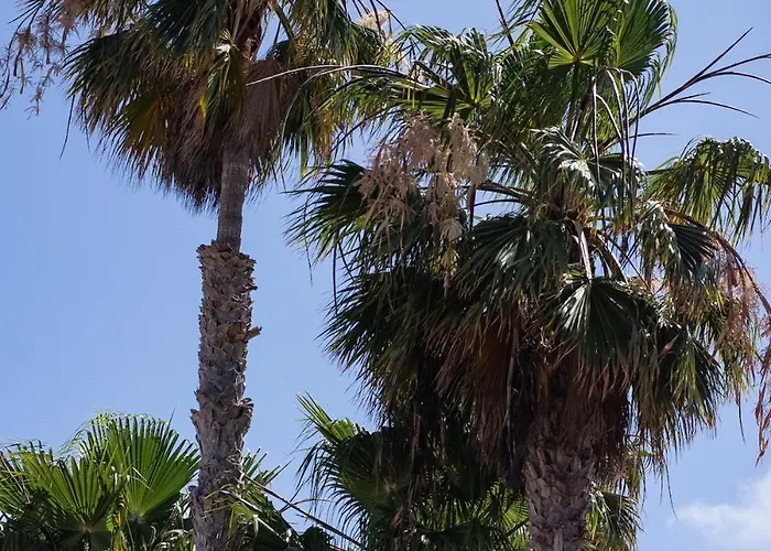 Salty Casa - Oasis Duna - Center Apartamento Corralejo