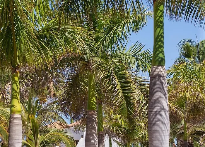 Apartamento Salty Casa - Oasis Duna - Center Corralejo